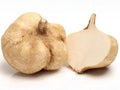 True Jicama Seeds | Tropical Vining Root Vegetable | Pachyrhizus erosus | Edible Crisp, Sweet Root