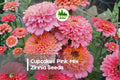 100+ Cupcakes Pink Mix Zinnia Seeds – Frilly Cupcake-Shaped Blooms in Pink, Rose, Coral | Zinnia elegans Annual Flower for Gardens