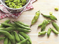 Fava Bean Seeds – 10 Heirloom Broad Beans, Cold-Hardy, Non-GMO, Organic, Easy Spring Garden Crop, Edible Pods, Nutrient-Dense