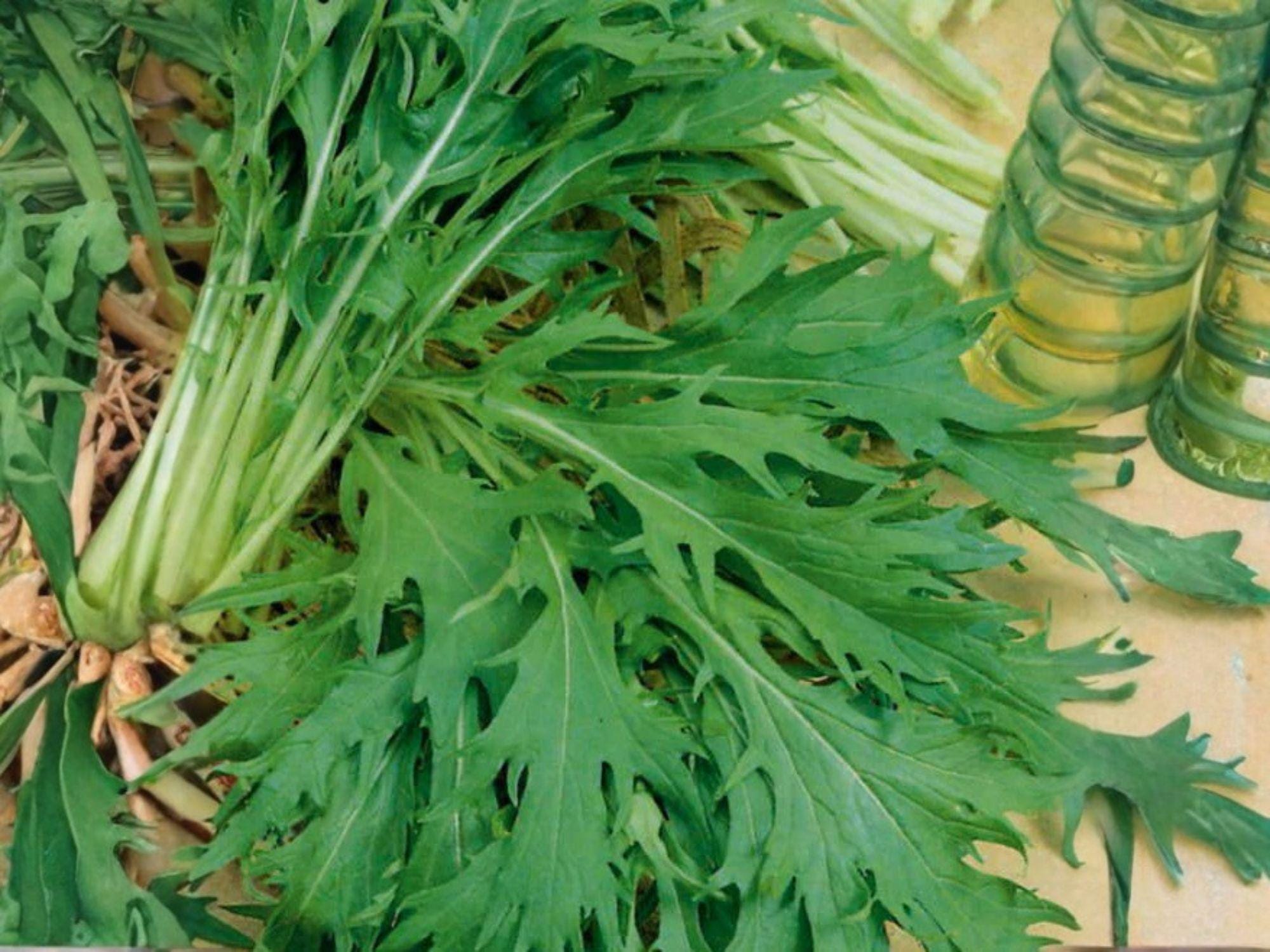 Mizuna Early Seeds – 500 Japanese Mustard Greens for Salad, Stir-Fry, Cool-Season Vegetable