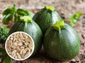 Round Zucchini Seeds – Heirloom Summer Squash, Compact Garden, Ball-Shaped, Edible Fruits, Cucurbita pepo