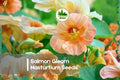 Salmon Gleam Nasturtium Seeds – Tropaeolum majus, Trailing Annual with Salmon Pink Blooms, Easy to Grow, 50+ Seeds
