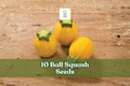 10 Ball Squash Seeds - Exotic Round Vegetable Seeds - Cucurbita spp. for Garden, Outdoor, Vegetable Plot
