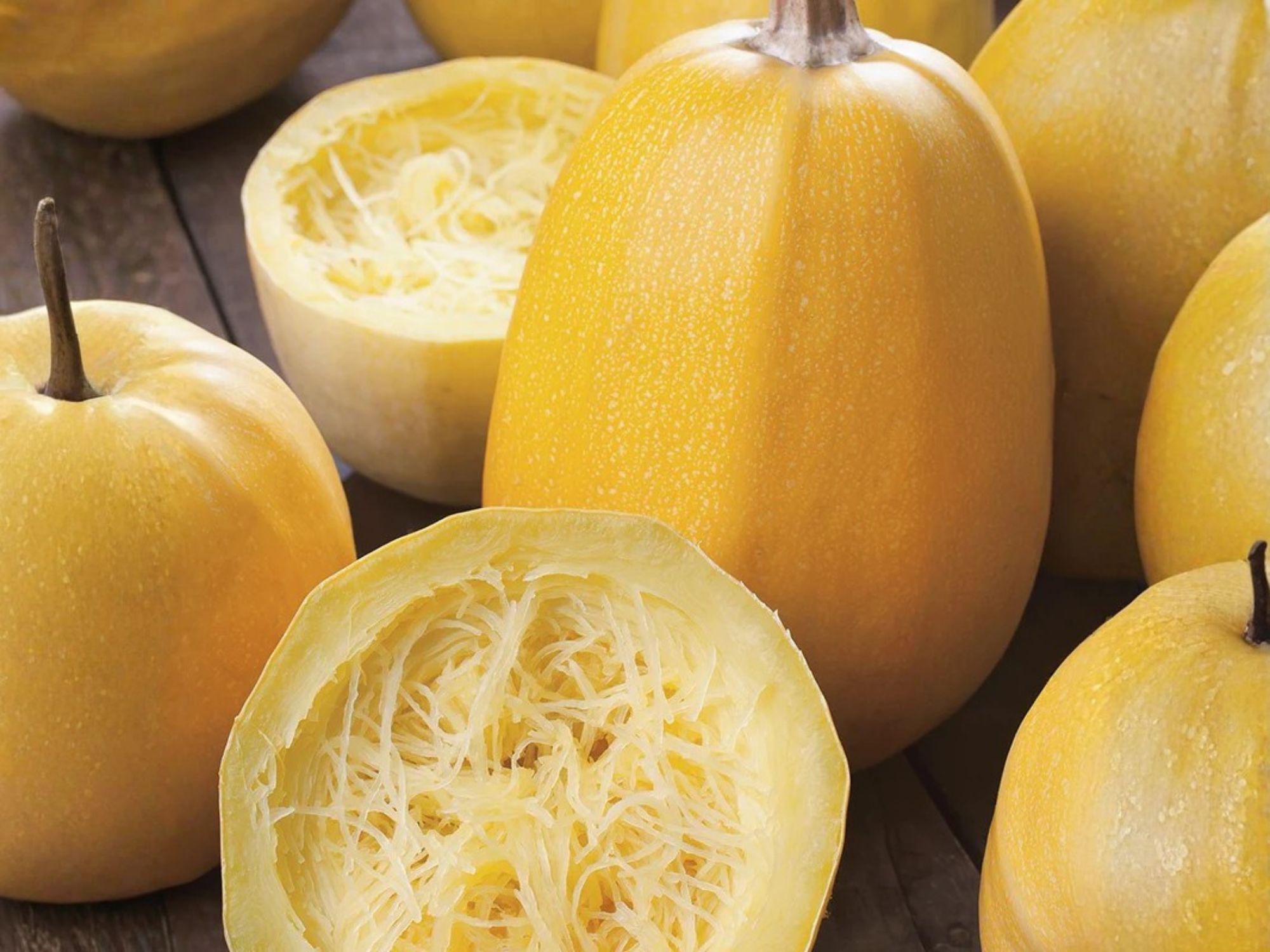 Spaghetti Winter Squash Seeds - Organic Heirloom Vegetable Seeds for Home Garden, Low-Carb Pasta Alternative, Golden Yellow Fruits
