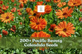 200+ Calendula officinalis Pacific Beauty Mix Seeds for Flower Garden, Borders, and Full Sun Planting