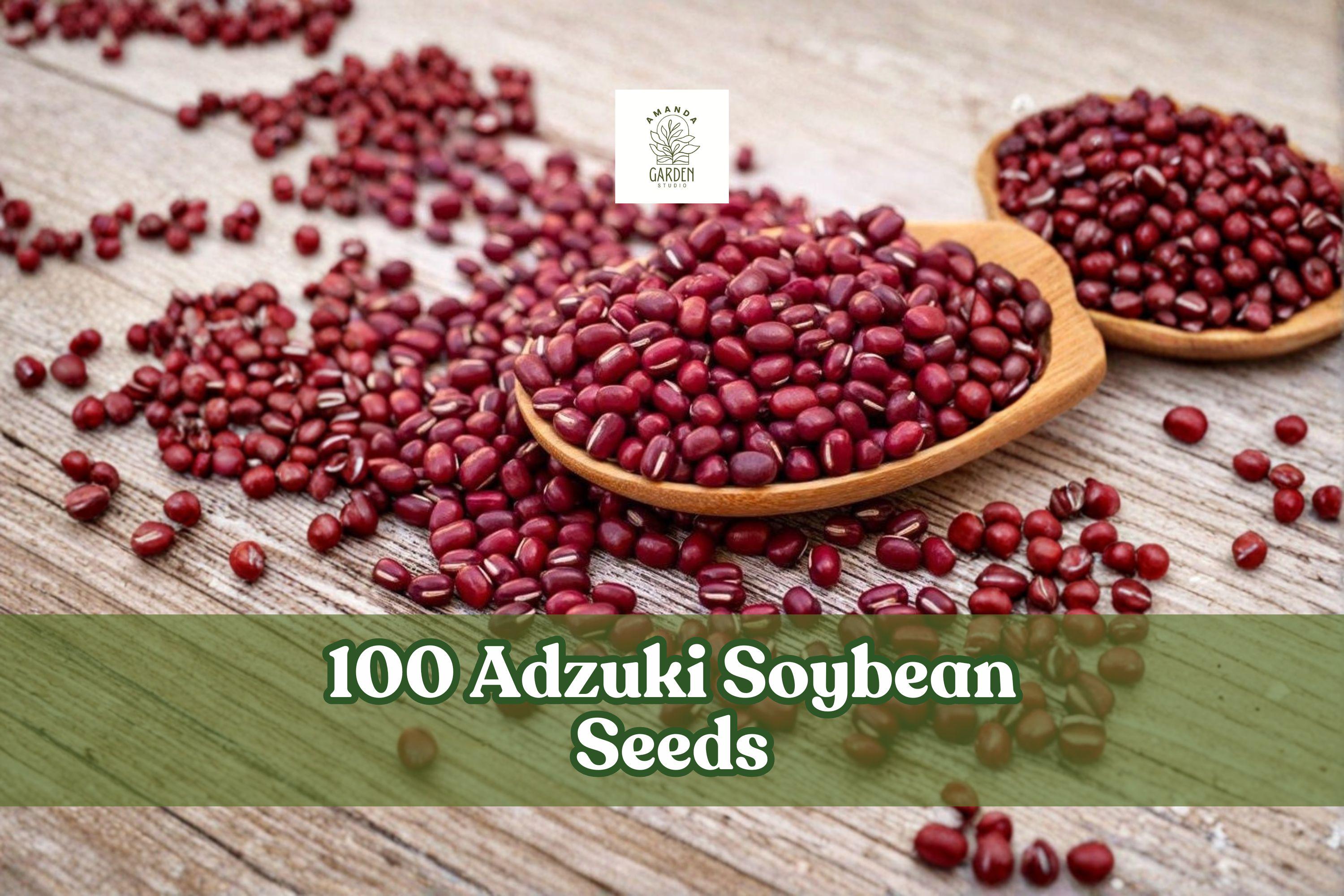 100 Adzuki Soybean Seeds - Red Bean Legume Vigna angularis for Garden Planting, Heirloom, Full Sun, Outdoor & Raised Bed