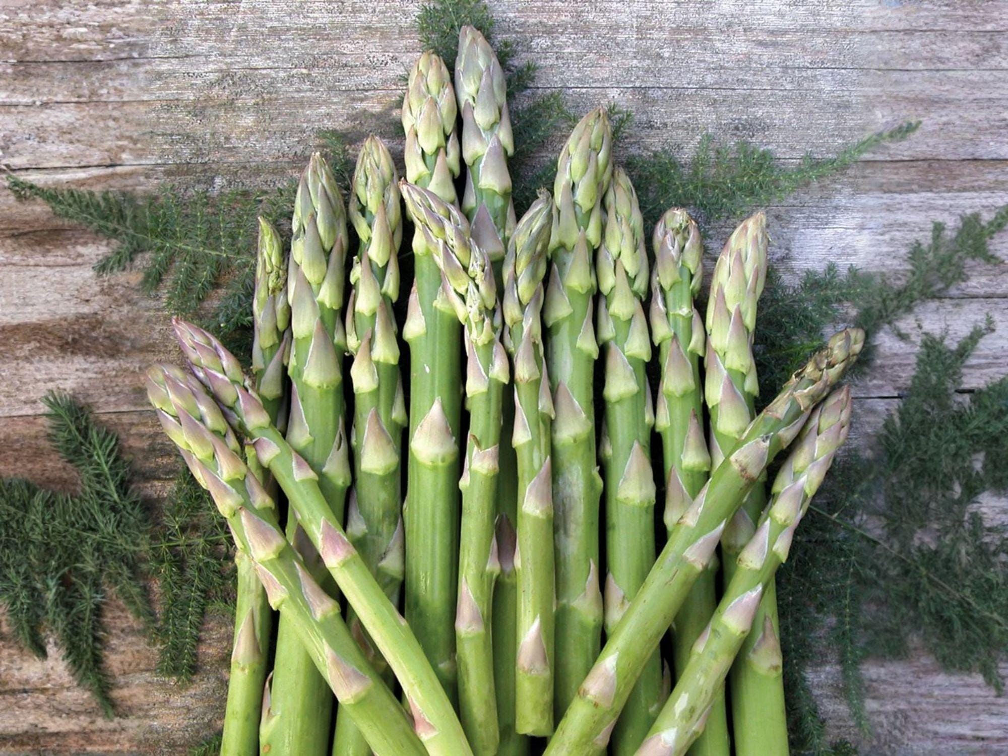 Asparagus Seeds – Heirloom Mary Washington – Perennial Vegetable – Cold Hardy Garden Crop – 100 Seeds