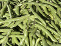 Heirloom Fava Bean Seeds – Broad Bean, Cool-Season Edible Legume, Non-GMO, 10 Seeds
