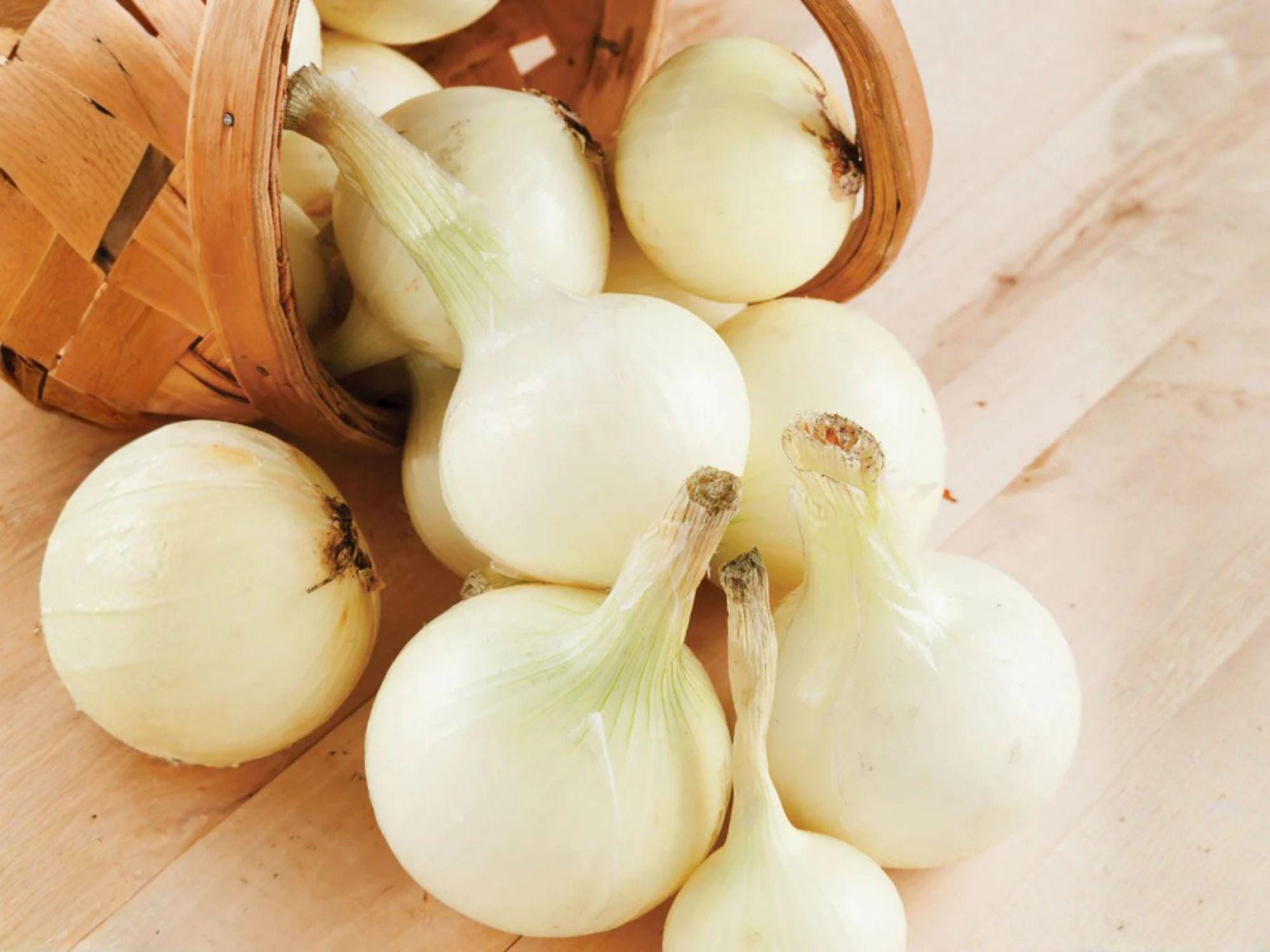 Blanco Duro Onion Seeds – 50 Heirloom White Storage Onion Bulbs – Strong Flavor, Long Storage, Open-Pollinated