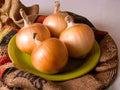 Texas Grano 502 Onion Seeds – Heirloom Short-Day Yellow Sweet Onion for Slicing & Cooking, 50 Seeds