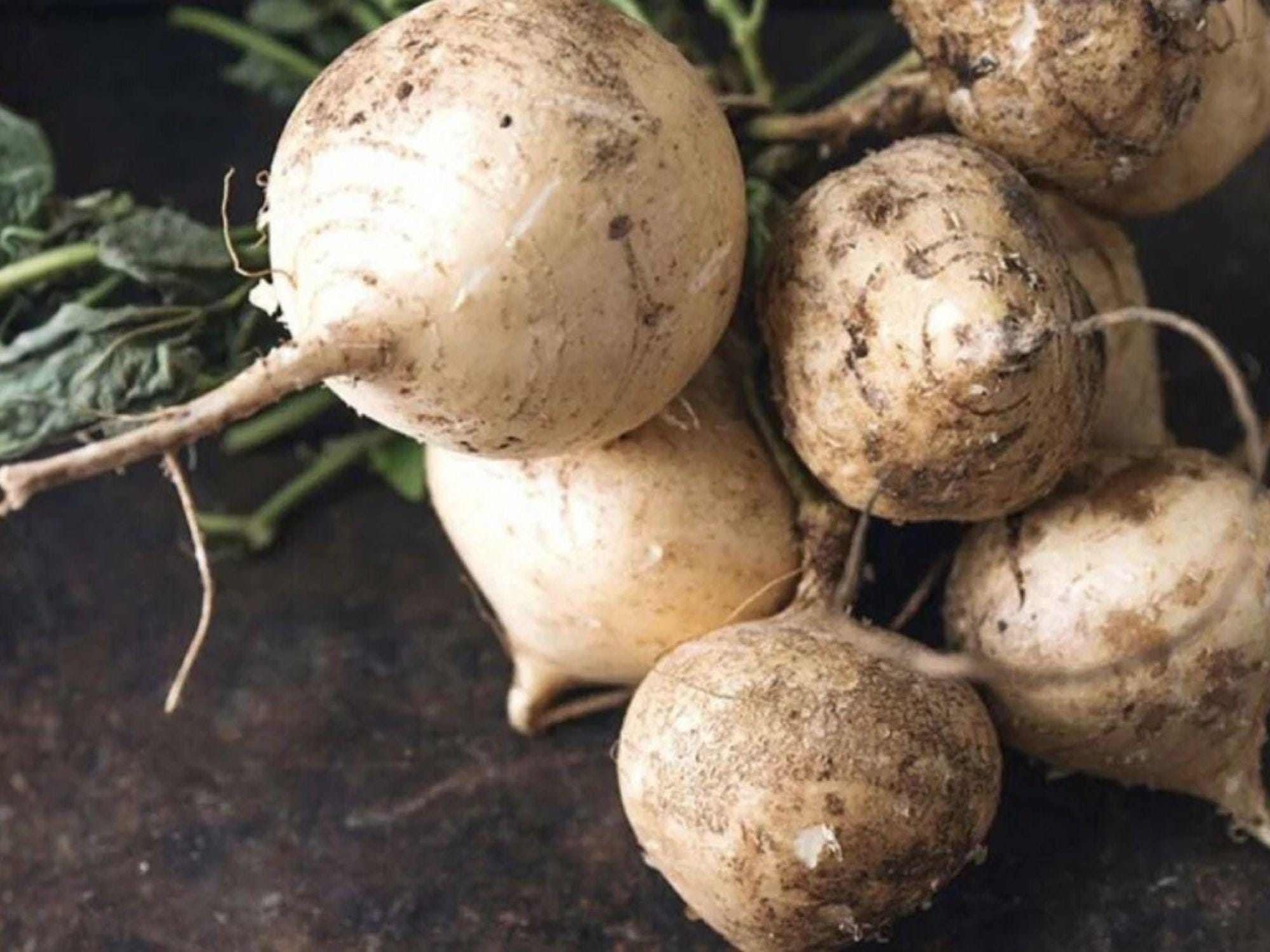 True Jicama Vegetable Seeds – Garden Vining Plant, Green Leaves, 10 Seeds