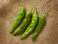 Hatch Giuzeppi Hot Chili Pepper Seeds – Heirloom, Southwestern Style, 25 Seeds, Hot Pepper, Vegetable, Full Sun