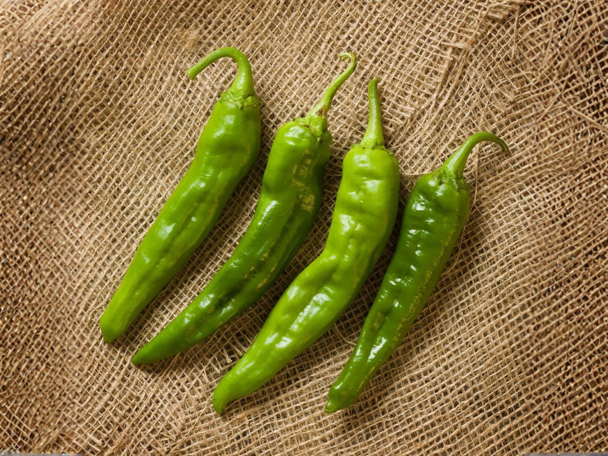Hatch Giuzeppi Hot Chili Pepper Seeds – Heirloom, Southwestern Style, 25 Seeds, Hot Pepper, Vegetable, Full Sun