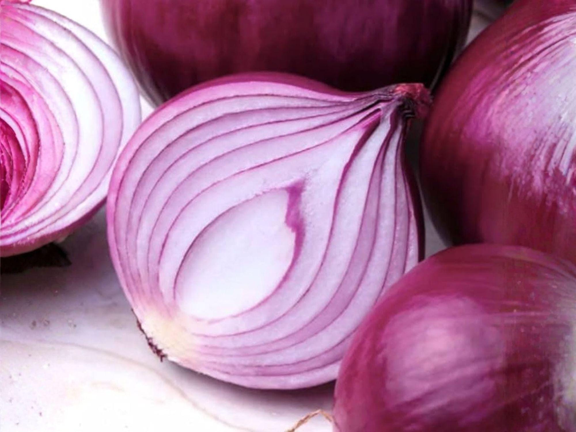 Southport Red Globe Onion Seeds – Heirloom Red Onion Seeds for Cooking & Storage, 50 Seeds