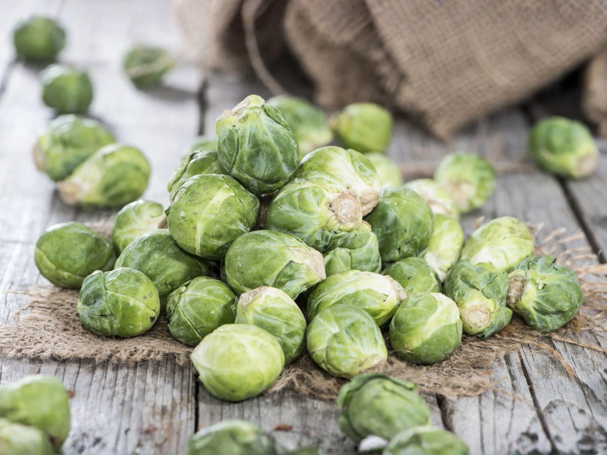 Brussels Sprouts Seeds – Long Island Improved Heirloom Cold Hardy Vegetable Garden Seed – 500 Seeds