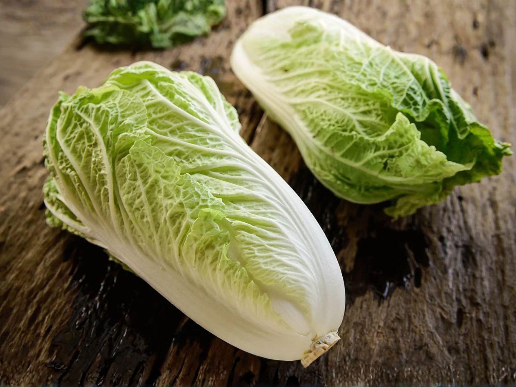 Matsushima Chinese Cabbage Seeds – 300 Brassica rapa Pekinensis Napa-Type Vegetable Seeds for Home Garden