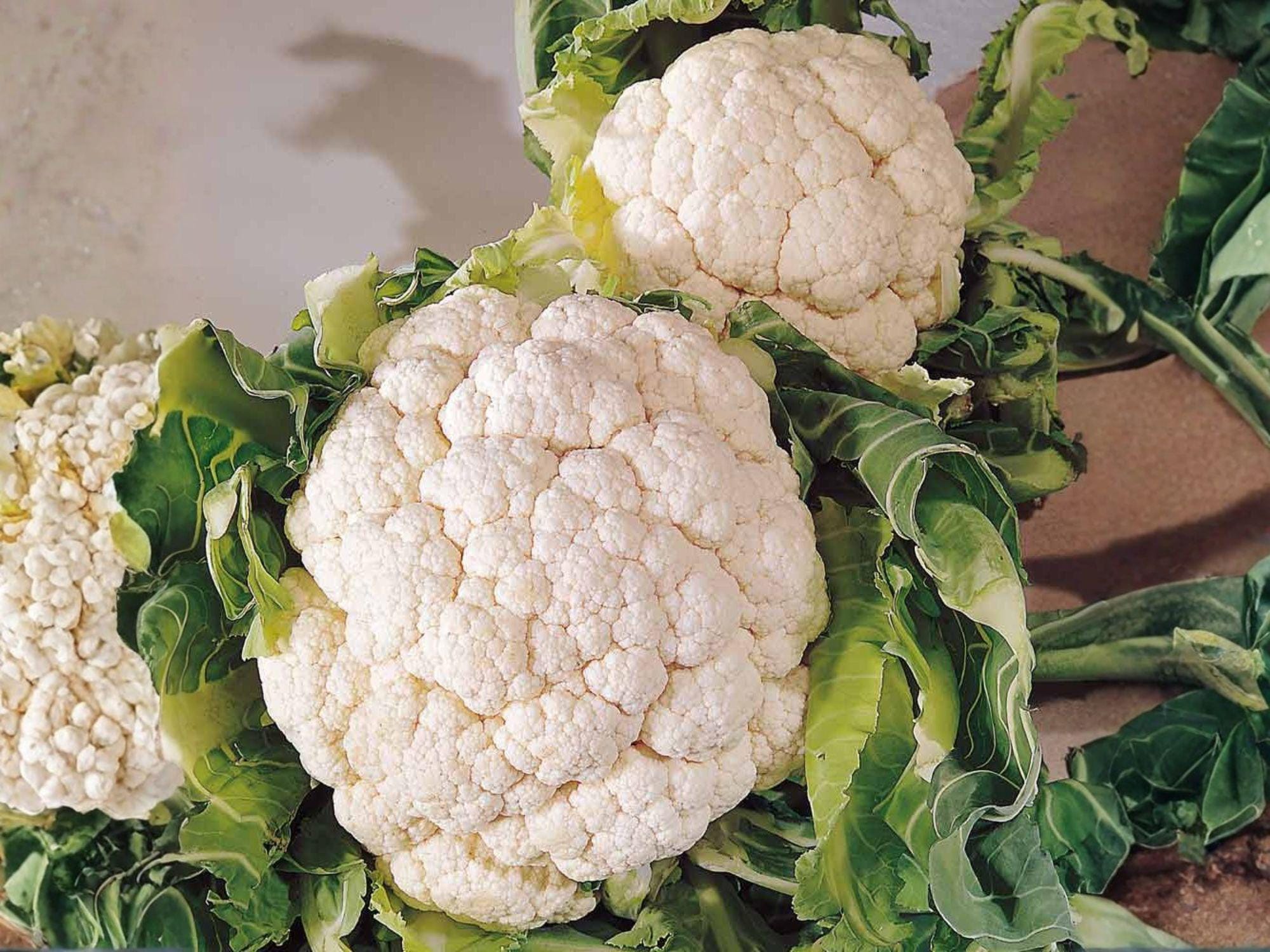Snowball Y Improved Cauliflower Seeds – 250 Heirloom White Vegetable Seeds for Home Garden, Compact, Cool-Season, Open-Pollinated