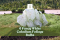 6 Fancy White Caladium Bulbs – Tropical Shade Garden Foliage, Caladium bicolor, Decorative White Leaves