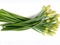 Chinese Flowering Leek Seeds – 100 Non-GMO Garlic Chive Flower Stalks for Asian Vegetable Gardens and Culinary Use