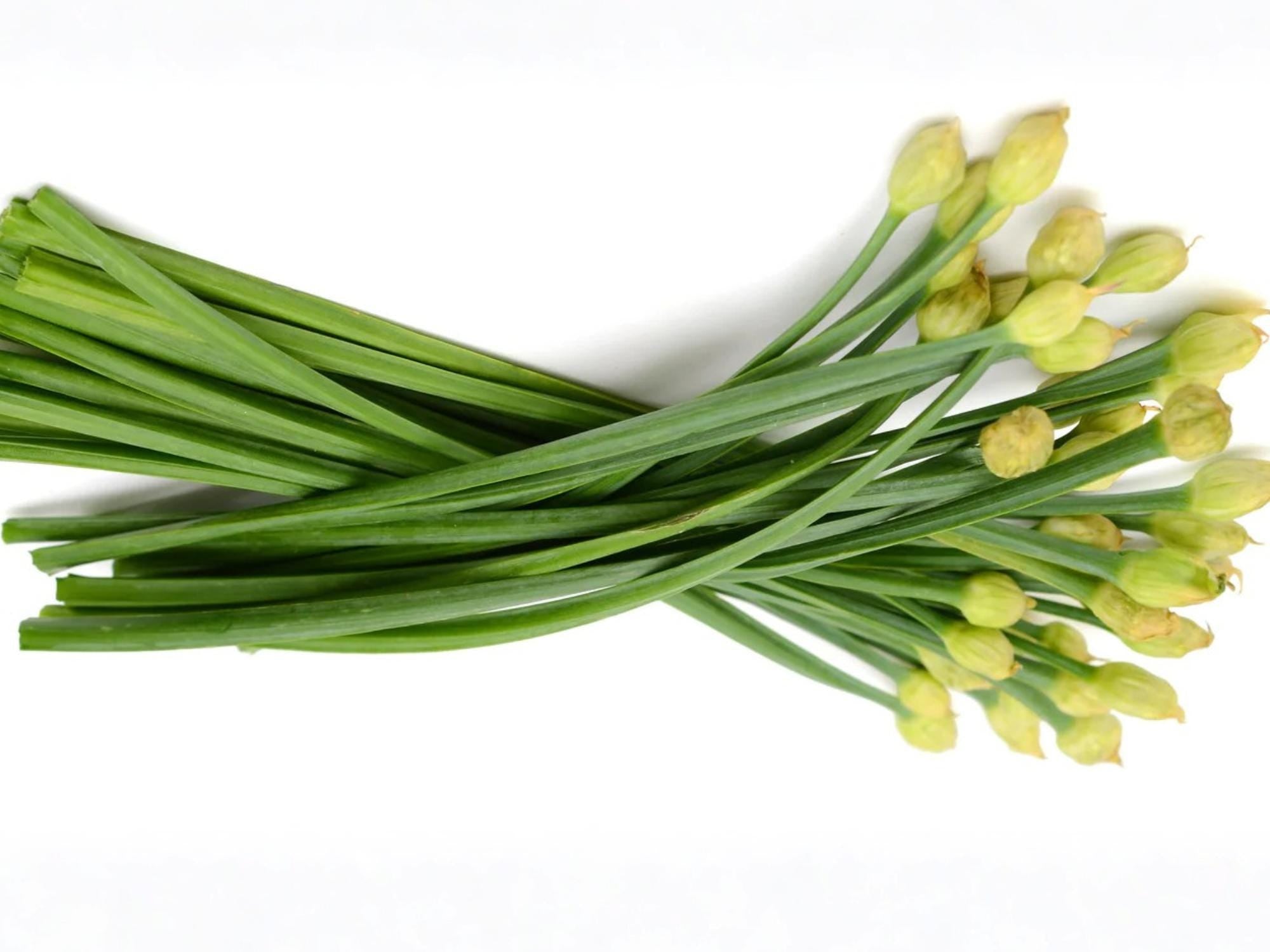 Chinese Flowering Leek Seeds – 100 Non-GMO Garlic Chive Flower Stalks for Asian Vegetable Gardens and Culinary Use