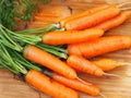 Scarlet Nantes Carrot Seeds – Heirloom Nantes Type, Sweet Tender Roots, 500 Seeds for Home Garden, Full Sun, Well-Drained Soil