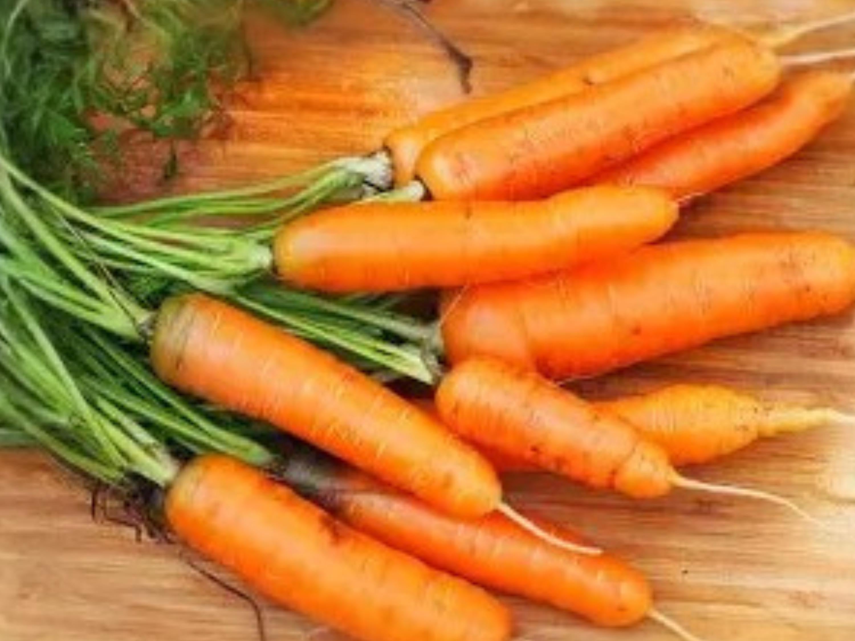 Scarlet Nantes Carrot Seeds – Heirloom Nantes Type, Sweet Tender Roots, 500 Seeds for Home Garden, Full Sun, Well-Drained Soil