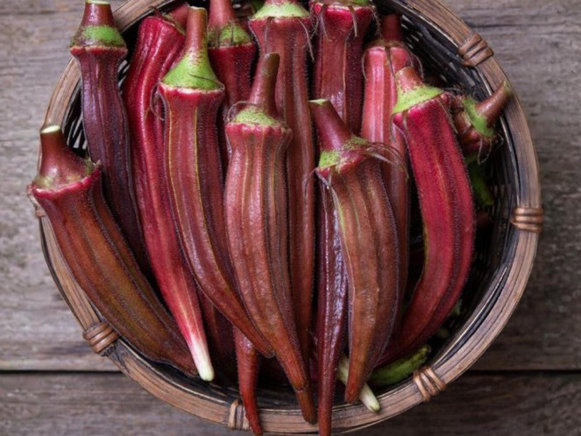 Red Burgundy Okra Seeds – Heirloom Vegetable, Heat Tolerant, Edible & Ornamental, 100 Seeds