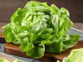 Bibb Lettuce Seeds - 1000 Heirloom Butterhead Salad Greens for Home Gardens, Containers, Raised Beds