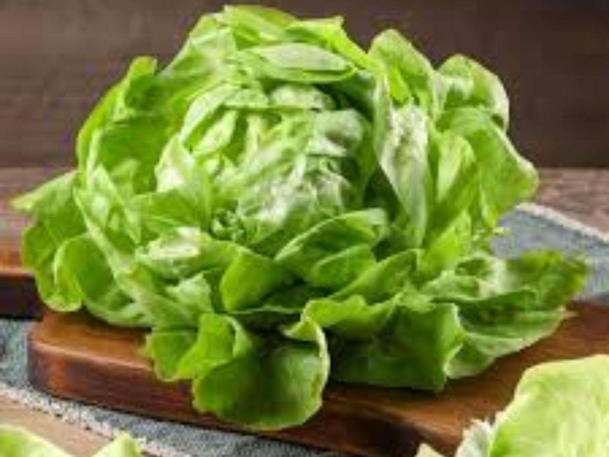 Bibb Lettuce Seeds - 1000 Heirloom Butterhead Salad Greens for Home Gardens, Containers, Raised Beds