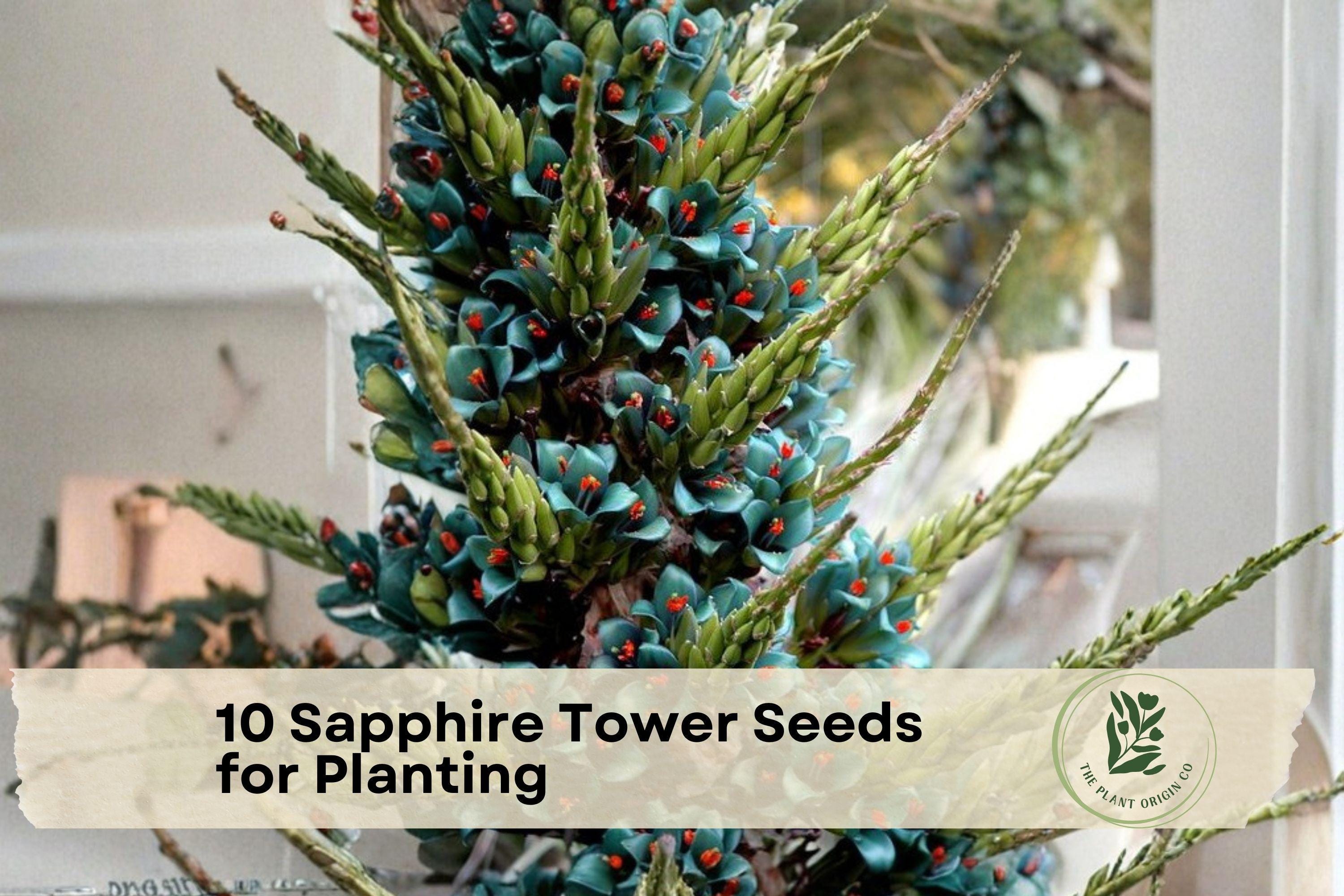 10 Sapphire Tower Puya alpestris Seeds – Rare Ornamental Bromeliad for Container & Garden Cultivation
