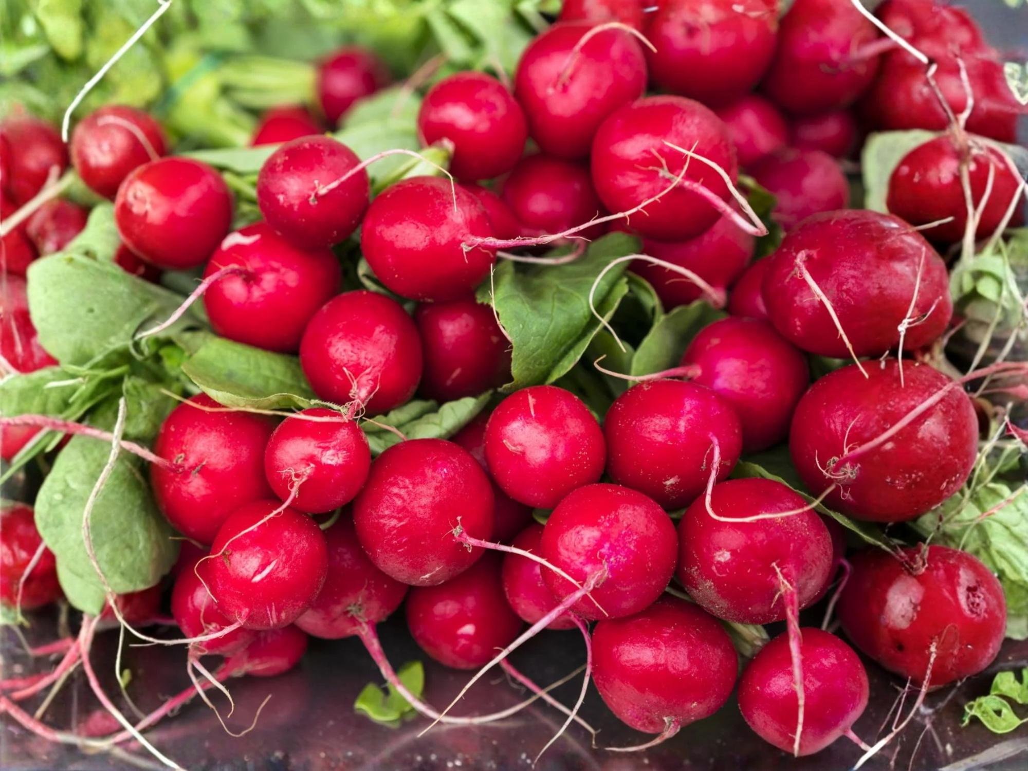 Cherry Belle Radish Seeds – Heirloom, Non-GMO, Fast-Growing, Bright Red, Crisp Roots, 100 Seeds