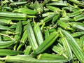 Clemson Spineless Okra Seeds – Heirloom, High Yield, Tender Pods, Warm-Season Vegetable, 100 Seeds
