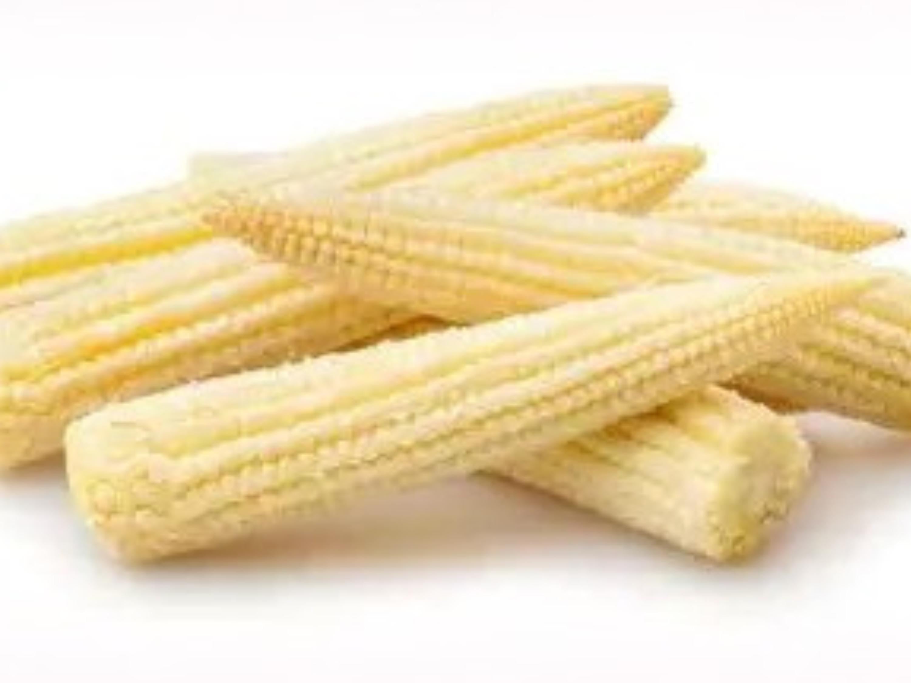 Japanese Hulless White Popcorn Seeds | Heirloom, Tender Hulls, Dual-Use Baby Corn & Popping | Open-Pollinated, White Kernels