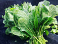 Bloomsdale Long Standing Spinach Seeds – Heirloom Savoy, Non-GMO, Slow Bolting, Cool-Season Vegetable, 100 Seeds