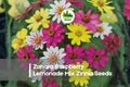 Zinnia Seeds 100+ Zahara Raspberry Lemonade Mix, Annual, Bright Pink Yellow Bicolor, Zinnia marylandica