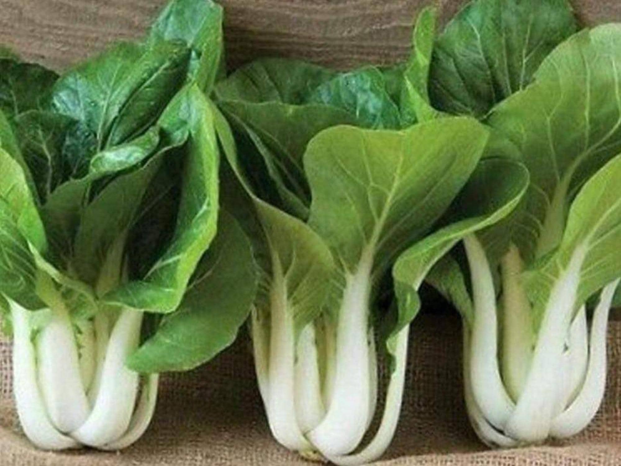 Pak Choi White Stem Seeds - 500 Asian Greens for Home Garden, Crisp, Mild Flavor, Fast Growing, Bok Choy, Brassica rapa