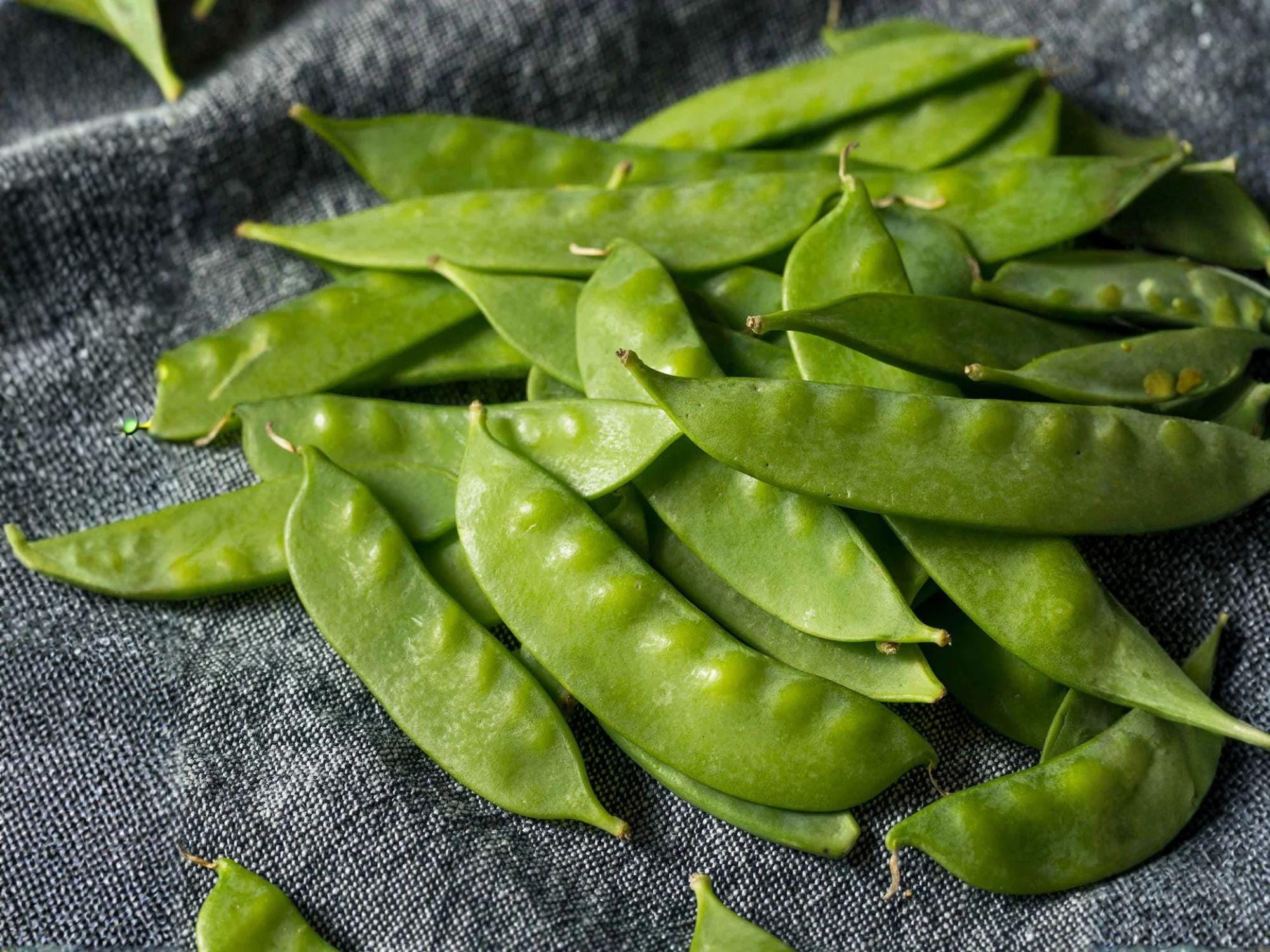Dwarf Sugar Grey Snow Pea Seeds – Heirloom Edible Pod, Compact Bush Peas, Cool-Season Vegetable, 50 Seeds
