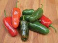 Early Jalapeño Pepper Seeds – Heirloom Chili, Medium Heat, Fast Growing, Thick-Walled Pods, 25 Seeds