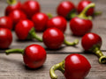 Heirloom Cherry Hot Pepper Seeds – Large Round Chili Peppers, Spicy Garden Vegetable, 25 Seeds