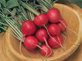 Cherry Belle Radish Seeds – Heirloom Red, Fast Growing, Crisp Roots, 100 Seeds