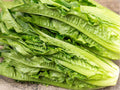 Asparagus Lettuce Seeds – Yu Mai Chinese Celtuce, Fast-Growing Asian Vegetable with Crisp Stems & Tender Leaves, 200 Non-GMO Seeds