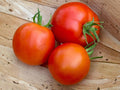 Tomato Seeds – Legend Variety, Disease Resistant, Home Garden, Vegetable Seeds, 30 Pack