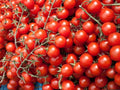 Heirloom Red Cherry Tomato Seeds – Sweet & Juicy, Indeterminate, 30 Seeds for Home Garden, Container, Balcony, Open-Pollinated