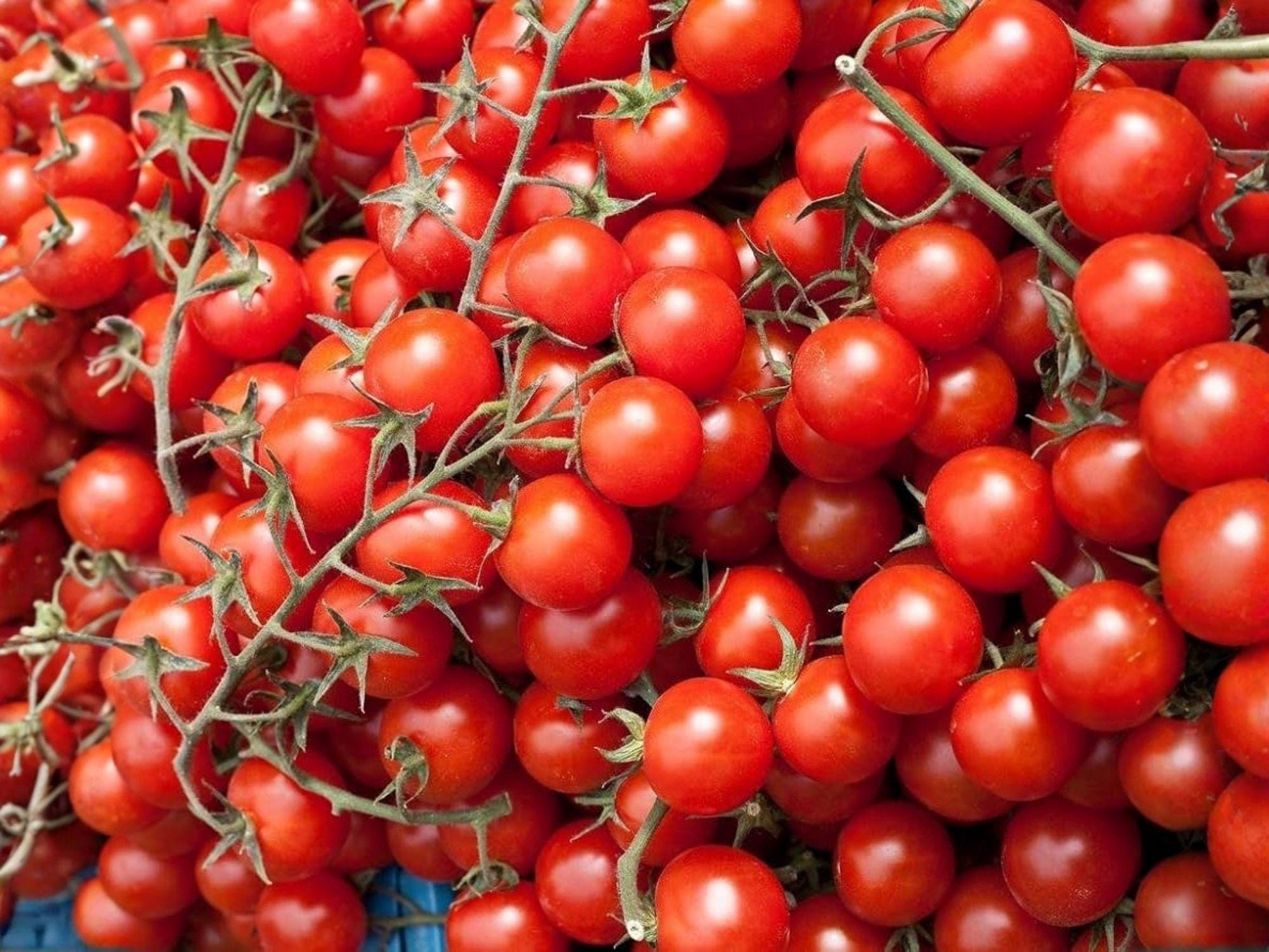 Heirloom Red Cherry Tomato Seeds – Sweet & Juicy, Indeterminate, 30 Seeds for Home Garden, Container, Balcony, Open-Pollinated