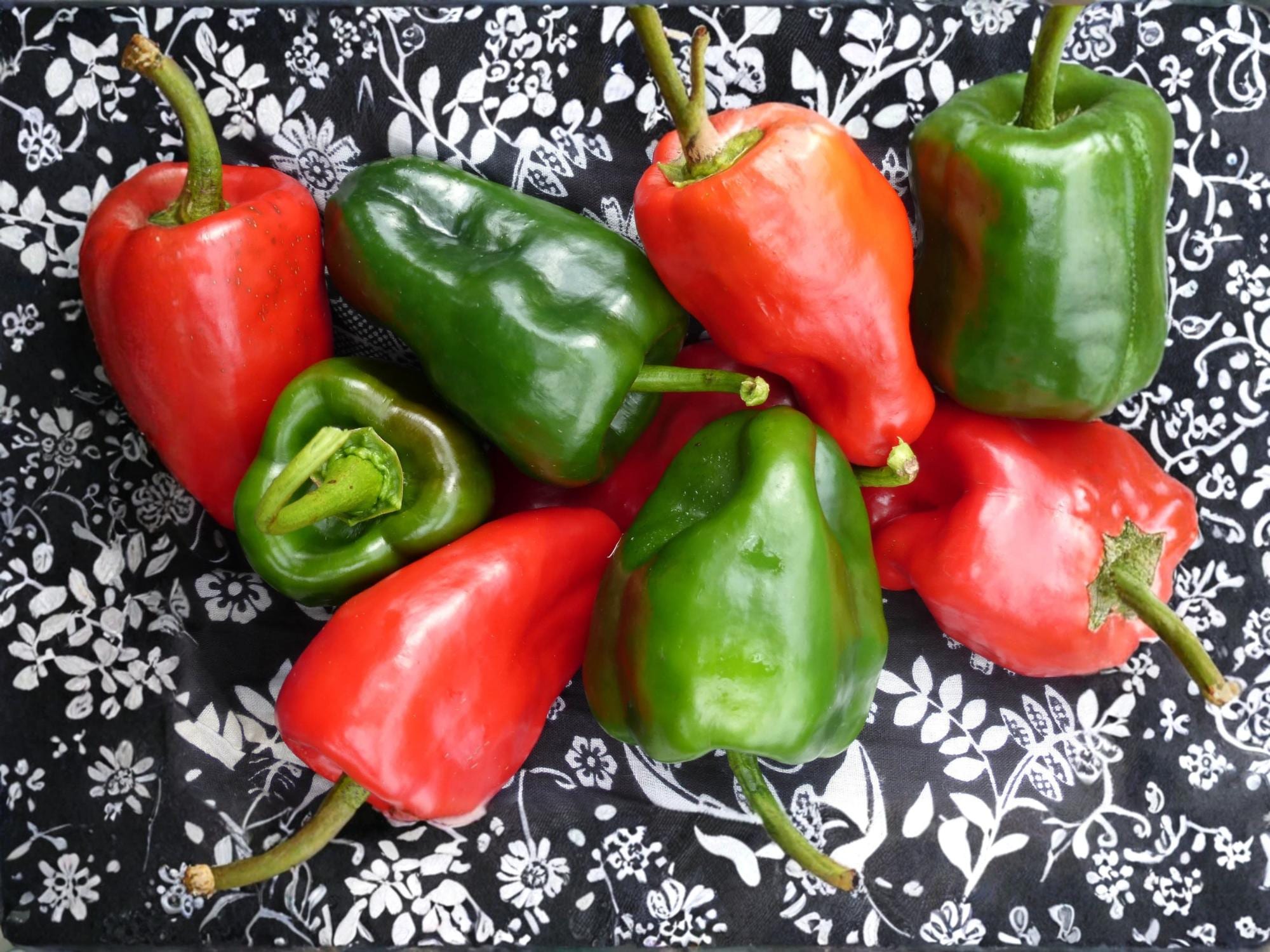 Ancho Poblano Chili Pepper Seeds – Mild Hot Vegetable Seeds for Mexican Cuisine – Heirloom Garden – 25 Seeds