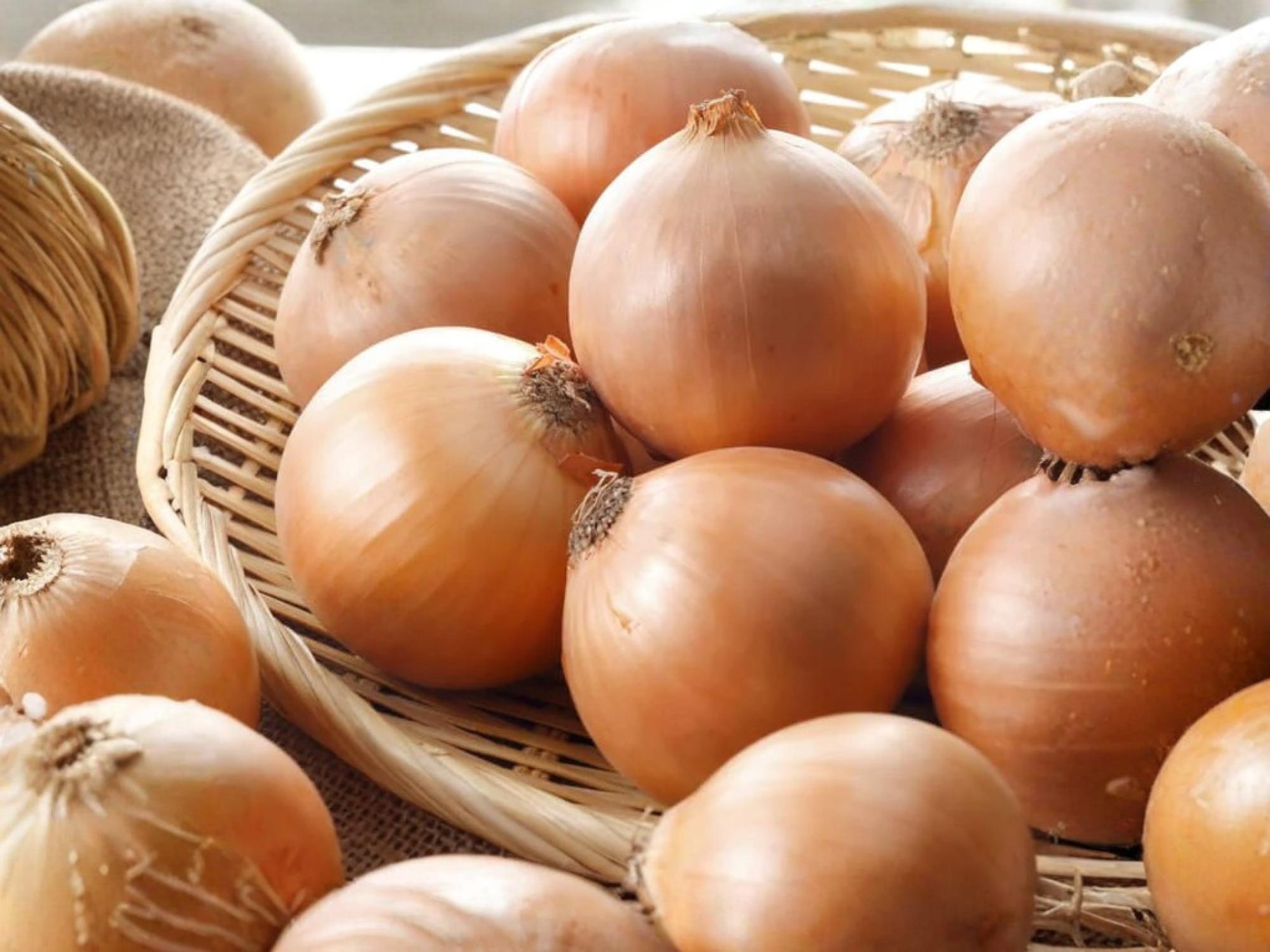 Utah Yellow Sweet Spanish Onion Seeds – Large Yellow Bulb, Sweet Flavor, Heirloom Vegetable Garden, Bulb Onion, Full Sun, 50 Seeds