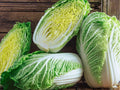 Matsushima Chinese Cabbage Seeds – Heirloom Napa Variety for Stir-Fries, Kimchi, and Salads – Brassica rapa Pekinensis