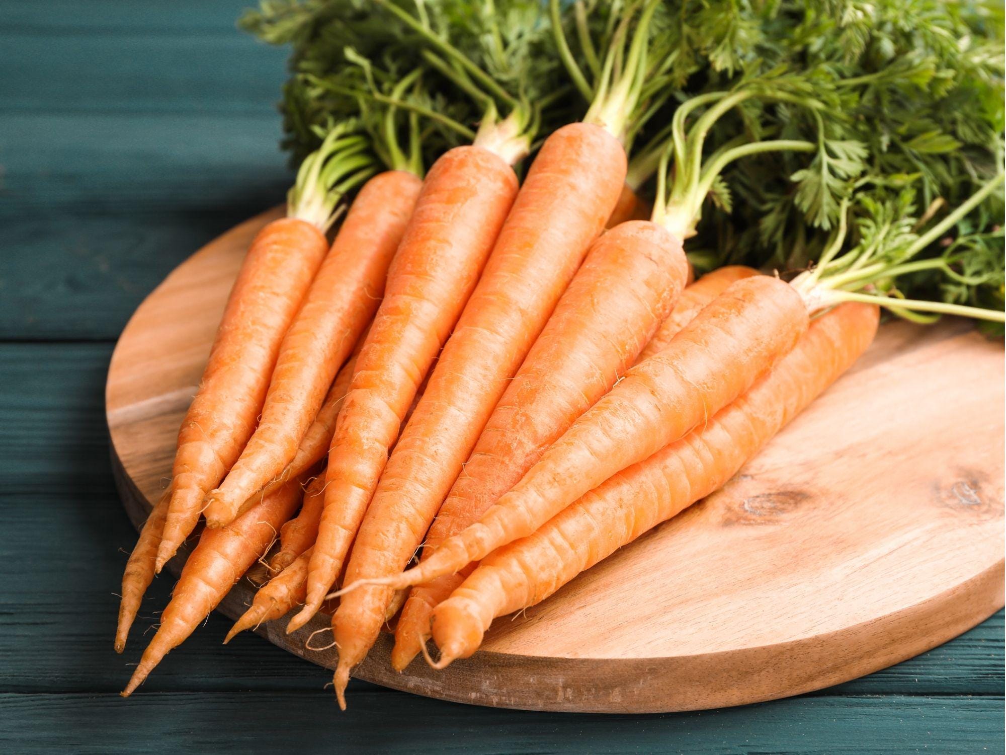 Tendersweet Carrot Seeds – 500 Non-GMO Heirloom, Coreless, Sweet, Crisp Roots (Daucus carota)