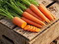 Scarlet Nantes Carrot Seeds – 500 Heirloom Non-GMO Root Vegetable for Juicing, Snacking, and Cooking