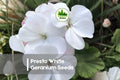 Presto White Geranium Seeds – Compact Pelargonium spp. for Pots, Borders & Window Boxes, White Bloom, Easy to Grow, 25+ Seeds